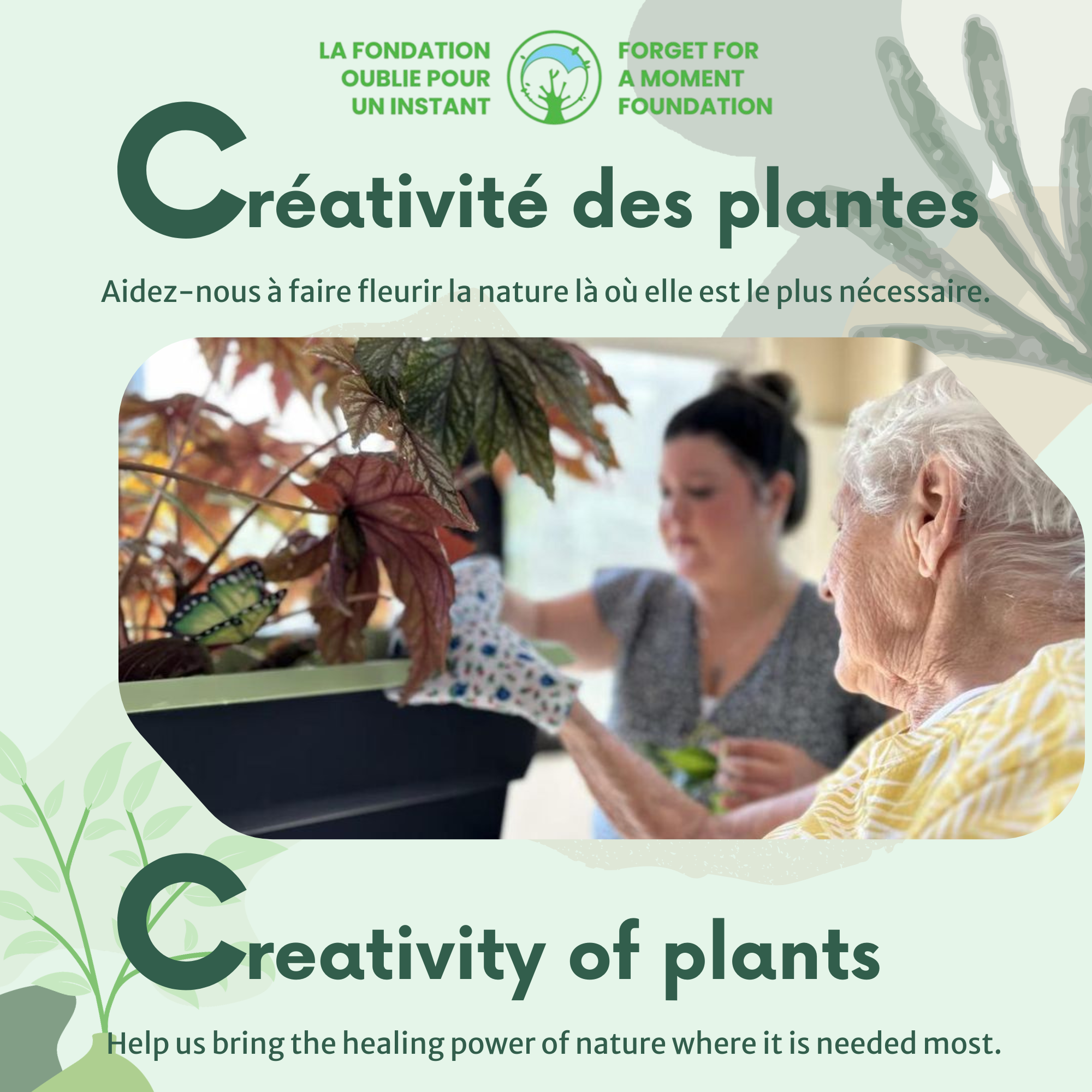 FR EN Creativité des plantes