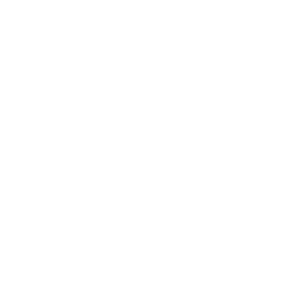 Icon puzzle 1