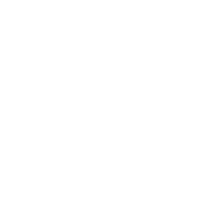 Icon puzzle 2