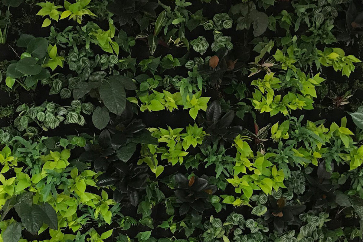 Example living wall