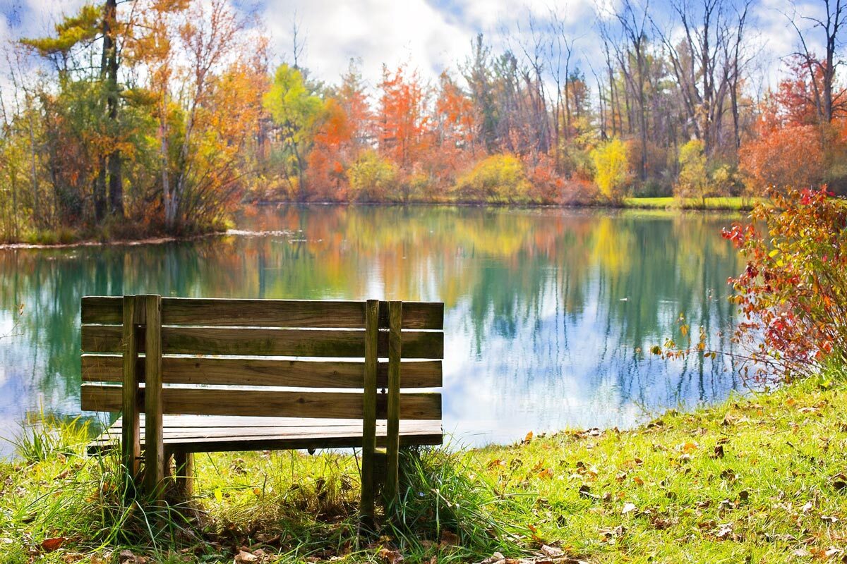 Fall park bench