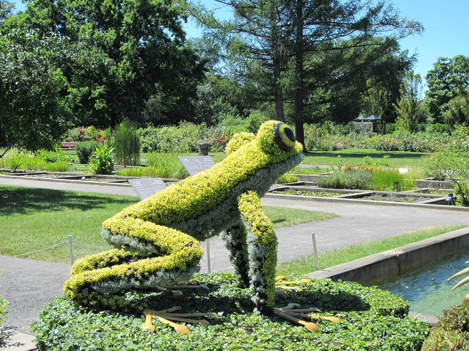 Frog mosaicultures internationales montreal botaical gardens 2013