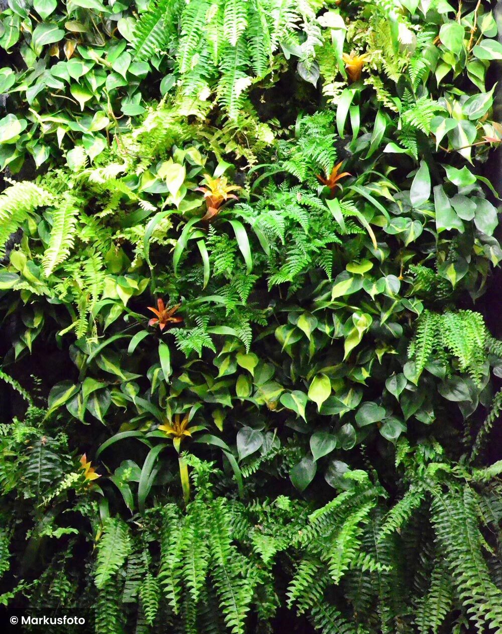 Living wall ernest brisson vertical